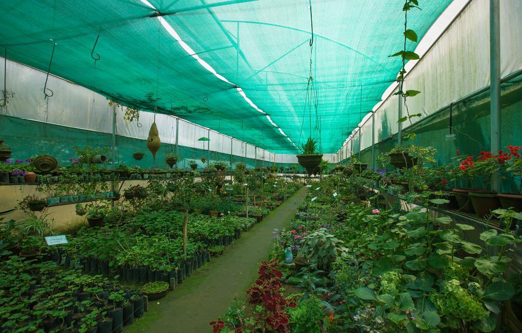 Pine Borough Inn Kodaikanal Kültér fotó